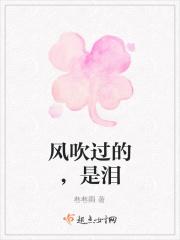 风吹过的，是泪