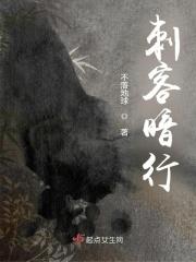 女刺客与冷将军