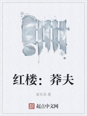 红楼:莽夫