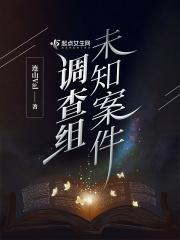 未知案件调查组