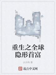 重生之全球隐形首富