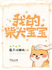 我的柴犬宝宝
